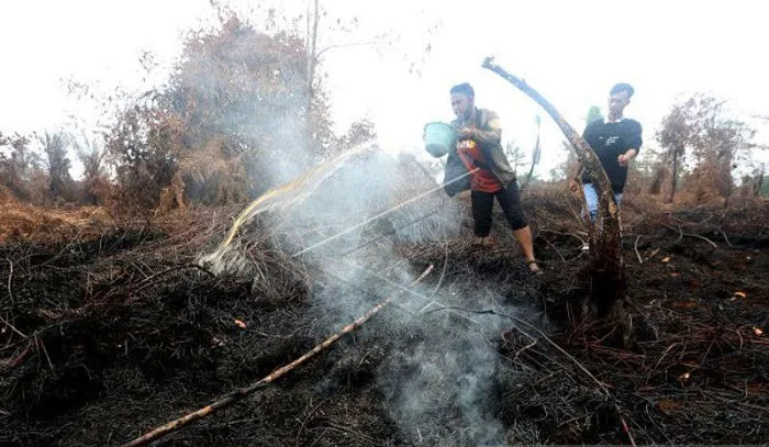 BMKG Minta Warga Aceh Waspadai Karhutla saat Kemarau