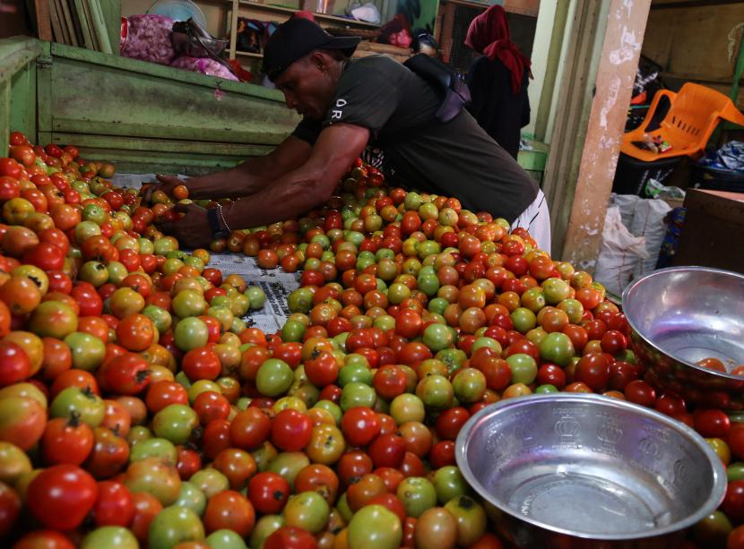 Harga Tomat Melonjak di Aceh Tamiang